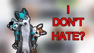 Why I DON'T Hate Furries