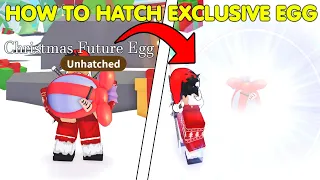 🤫HOW TO HATCH THE NEW CHRISTMAS FUTURE EGG!❄️HATCH 100 EGG! FROSTCLAWS FURY ADOPT ME ROBLOX