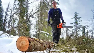 Cutting & Hauling Logs in Winter | A Forest of Dead Trees