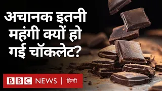 Chocolate उत्पादन पर जलवायु परिवर्तन का प्रभाव पड़ रहा है? - Duniya Jahan (BBC Hindi)