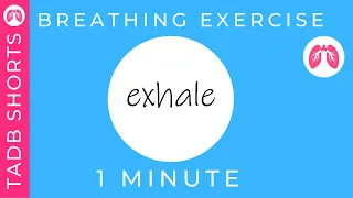 Stop a Panic Attack | Breathing Exercise | TAKE A DEEP BREATH #shorts