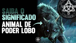 [COMPLETO] Significado do Animal de Poder Lobo