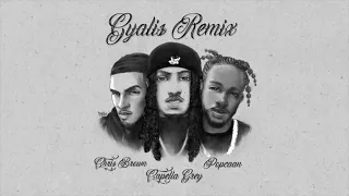 Capella Grey, Chris Brown & Popcaan - Gyalis Remix