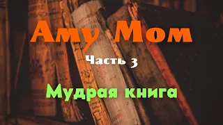 Аму Мом, часть 3. Мудрая книга / Ответы на вопросы / NikOsho