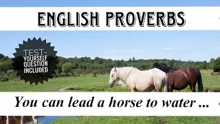 English Proverbs - You can lead a horse to water ...