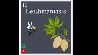 10. Leishmaniasis