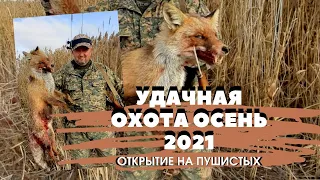 ОХОТА НА ЗАЙЦА ЛИСУ ШАКАЛА/ОХОТА 2021/ОХОТА С ГОНЧИМИ/Будни хорошего охотника