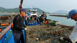 Работа на море Южная Корея