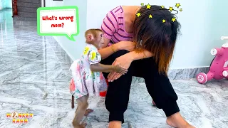 Monkey Kaka Was Worried And Asked Dad To Help Mom Had Fainted