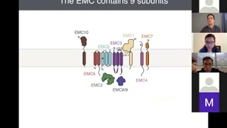 LRD seminar series, June 19th, 2020: ER resident proteins, membranes and droplets