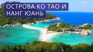 Острова Ко Тао и Нанг Юань Самуи  Цены  Отзывы | Авитип