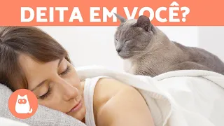 Por que meu gato dorme em cima de mim? 🐱