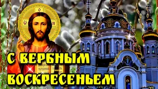 🙏28  апреля  Вербное Воскресенье🙏Красивая музыкальная открытка🌿Вход Господень в Иерусалим