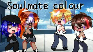 Soulmate colour Meme | Miraculous ladybug [MLB] | Gacha Club