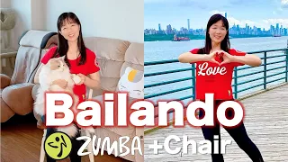 Bailando | Zumba + Chair | ZIN 83 | Zumba for Everyone | Easy to Follow