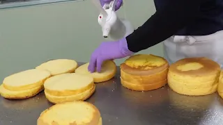 Массовое производство тортов в Кореи