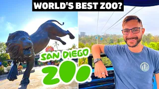 THIS IS WHY San Diego Zoo Is The Best In The World 🦁