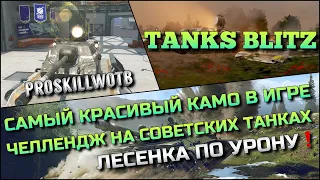 🔴Tanks Blitz САМЫЙ КРАСИВЫЙ КАМО В ИГРЕ🔥ЧЕЛЛЕНДЖ ПО УРОНУ НА СОВЕТСКИХ ИМБОВЫХ ТАНКАХ❗️