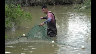 暴雨引发河水上涨，阿琪带着小帮手阿勋用8米大网抓鱼，收获太棒了看着都过瘾【农村阿琪】