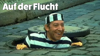 Dieter Hallervorden - Auf der Flucht
