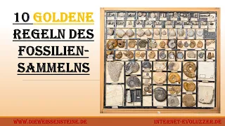 10 Regeln des Fossilien Sammelns