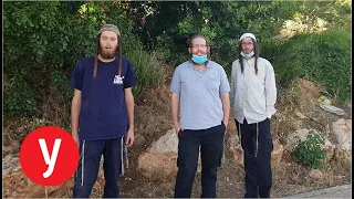 נאבקים נגד הסיפוח: "נעצור את תוכנית טראמפ ברגליים"