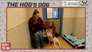 The Hog's Dog - October 18th, 2022