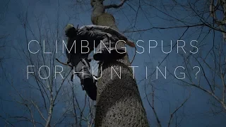 Climbing spikes for hunting?