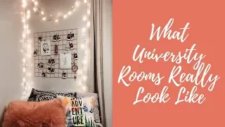 University Room Tour | Dalhousie University