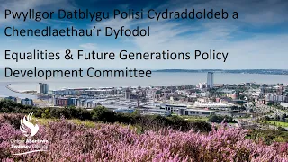 Swansea Council - Equalities  and Future Generation Policy Development Committee  27 October 2020