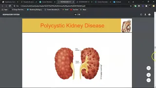 Chapter 15 Urinary System (pathology/testing) part 2