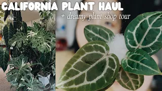 big ol plant haul in california + tour of my new favourite plant shop in sacramento 😍