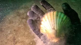 Scallop Diving - Port Phillip Bay