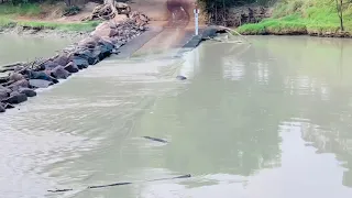 Cahill’s Crossing, Kakadu- Salt water croc vs 4WD