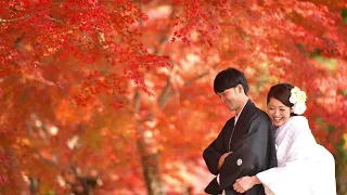 【和装前撮り】紅葉写真といえばこれでしょ！（キキフォトワークス）