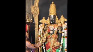 Live tirupati lord balaji aarti 🙏viral lord balaji status#subscribe#viral