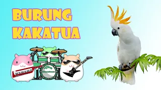 Burung Kakatua (New) 2021 Lagu Anak Indonesia