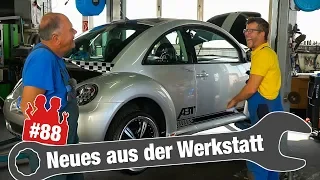 Holgers "wilde" Käfer-Anekdoten, festsitzende Glühkerzen & und ein versiffter Corsa-Kühler