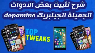 شرح تثبيت بعض الادوات الجميلة لجيلبريك dopamine