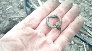 Чудовий коп по Київській Русі та скіфах. Залишки акінака!