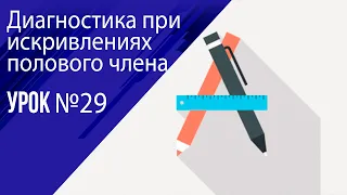 Урок 29 Диагностика болезни Пейрони