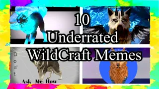 TEN BEST UNDERRATED WILDCRAFT MEMES