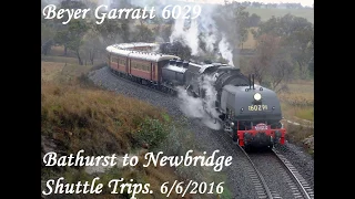 Beyer Garratt 6029 Bathurst to Newbridge Shuttles.  Monday 6/6/2016.