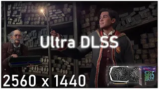 Hogwarts Legacy | 2K | i5 8600k | RTX 2070 | Ultra + DLSS Settings | FPS Test