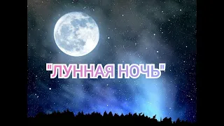 КРАСИВАЯ МУЗЫКА НОЧИ "Лунная ночь"