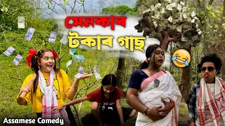 মেনকাৰ টকাৰ গাছ 😱|Assamesecomedy |Sekhorkhaiti |Funnyvideo |Chayadeka |Menoka |