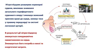 Лекція проф. Цубанова НА. "Антиангінальні лікарські засоби"