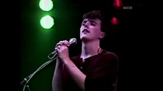 Tears For Fears - Mad World (live)