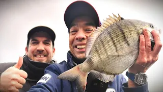 PÊCHE du SAR à la Gambas en janvier