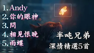 深情精選情歌 -  半噸兄弟5首翻唱特輯1 『Andy / 你的眼神 / 問 / 相見恨晚 / 雨蝶』【動態歌詞Lyrics】